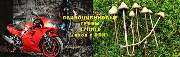 сатива Балахна