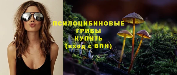 a pvp Аркадак