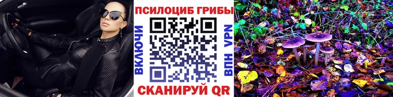 наркота  Горячий Ключ  Псилоцибиновые грибы ЛСД 